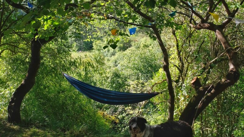 Vegan bed and breakfast Colle della luna