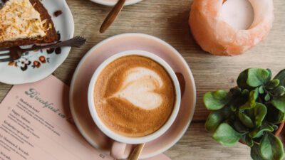 Bluebirds in the Backyard